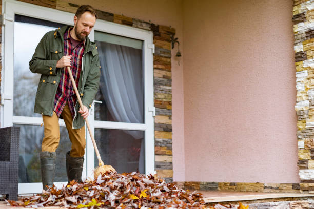 Best Junk Removal Near Me  in Clarion, PA